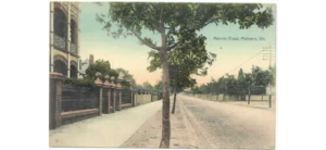 View looking north along Mercer Road from High Street. Fences, mostly picket, line both sides of the street. Deep bluestone gutters boarder the road and young oak trees are planted in the nature strip. On the left hand side (west side) is a pair of two storey houses with a brick and iron fence. On the east side a gas lamp is on the corner of Adelaide Street. Telegraph poles and wires run along the east side of the street. The roadway is not sealed.